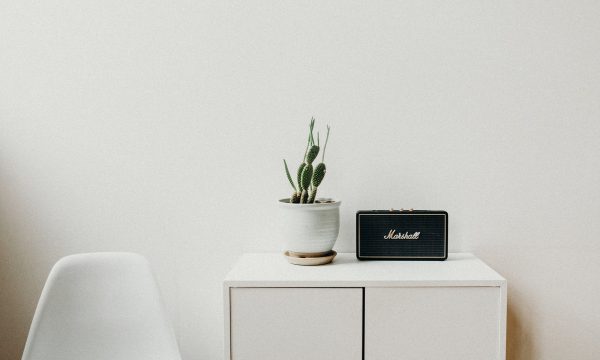 liana-mikah-456667-unsplash liana-mikah-456667-unsplash